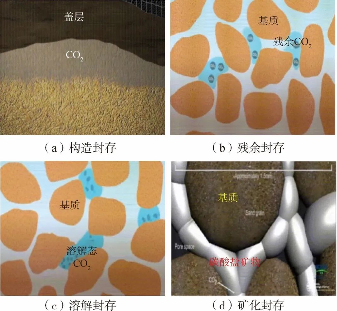 芮振華，李陽，等：CO?提高油氣采收率與地質封存關鍵技術發展建議！