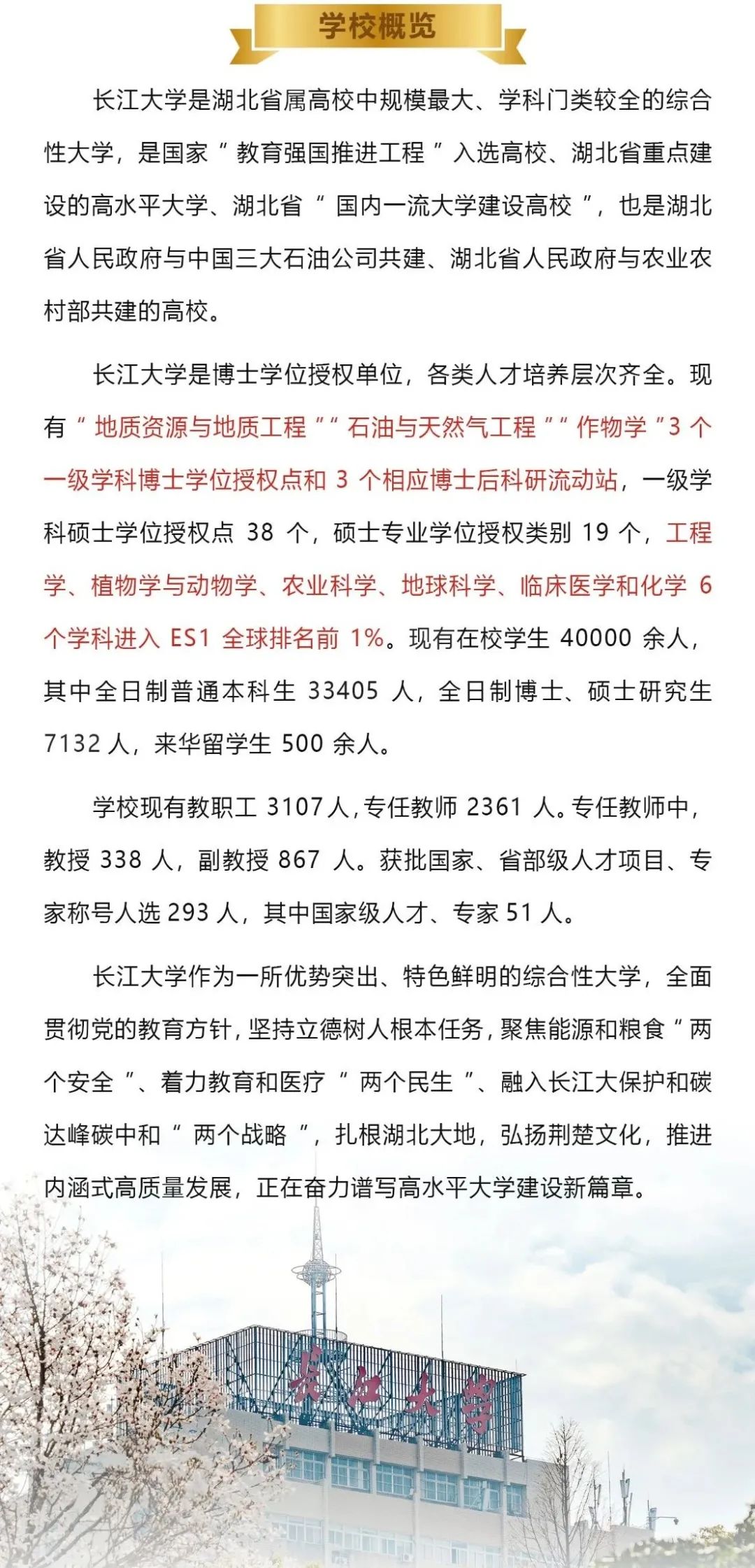 百萬年薪！這一石油院校招聘！
