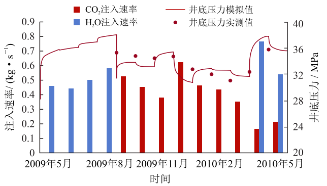中石大胡婷、芮振華：CO?地質利用與封存中碳遷移及其相態分布規律！