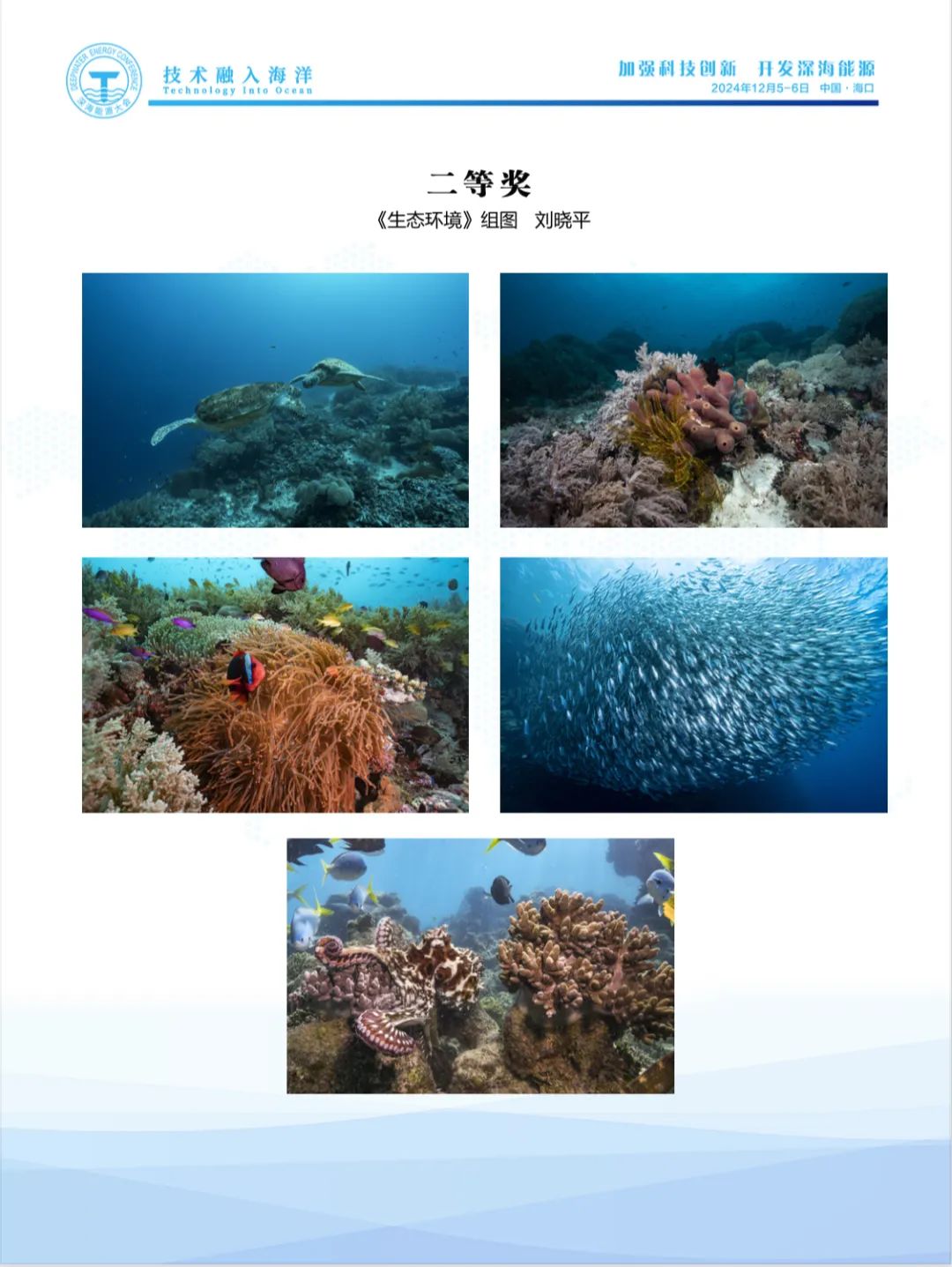 即刻報名｜第七屆深海能源大會會議手冊及深海之光攝影展獲獎作品公示！