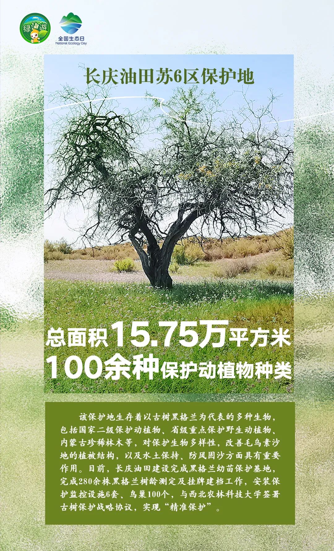 剛剛！中國石油官宣設立！