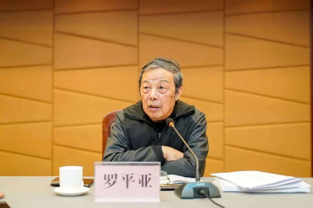 中國工程院羅平亞院士：煤層氣展望！