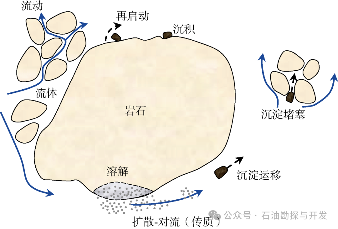 西南石油大學張烈輝教授：二氧化碳-水-巖作用機理及微觀模擬方法研究進展