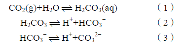 西南石油大學張烈輝教授：二氧化碳-水-巖作用機理及微觀模擬方法研究進展