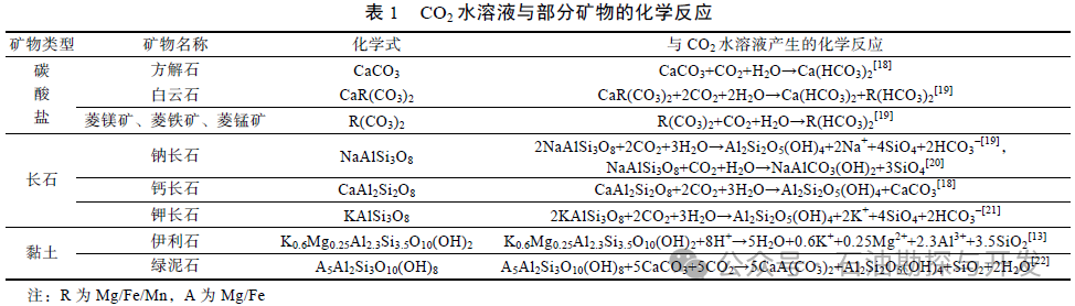 西南石油大學張烈輝教授：二氧化碳-水-巖作用機理及微觀模擬方法研究進展