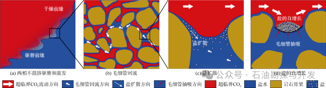 西南石油大學張烈輝教授：二氧化碳-水-巖作用機理及微觀模擬方法研究進展