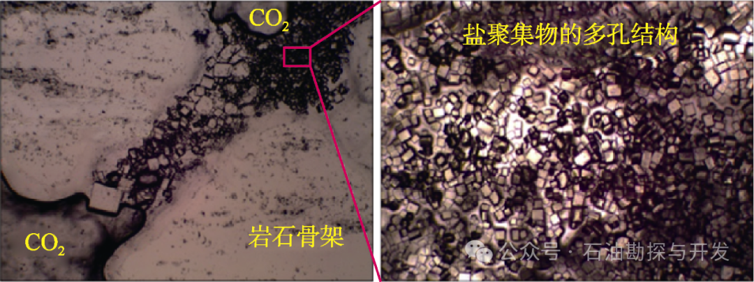 西南石油大學張烈輝教授：二氧化碳-水-巖作用機理及微觀模擬方法研究進展