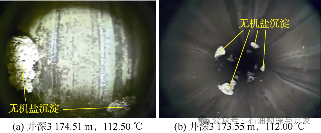 西南石油大學張烈輝教授：二氧化碳-水-巖作用機理及微觀模擬方法研究進展
