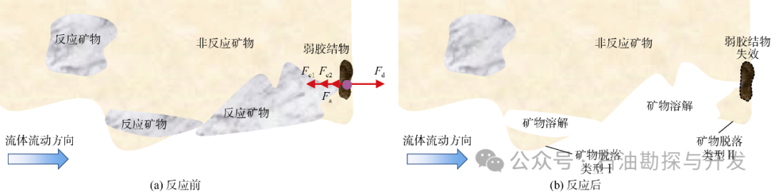 西南石油大學張烈輝教授：二氧化碳-水-巖作用機理及微觀模擬方法研究進展