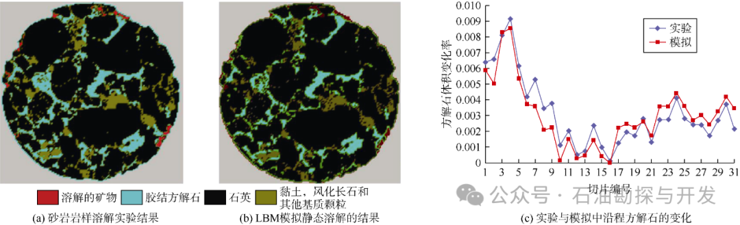 西南石油大學張烈輝教授：二氧化碳-水-巖作用機理及微觀模擬方法研究進展