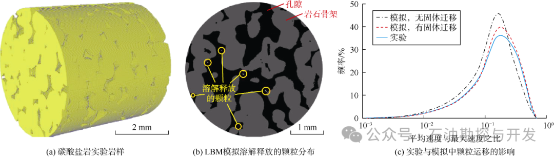 西南石油大學張烈輝教授：二氧化碳-水-巖作用機理及微觀模擬方法研究進展