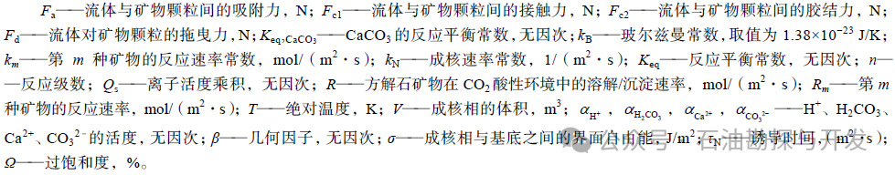 西南石油大學張烈輝教授：二氧化碳-水-巖作用機理及微觀模擬方法研究進展