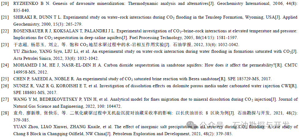 西南石油大學張烈輝教授：二氧化碳-水-巖作用機理及微觀模擬方法研究進展